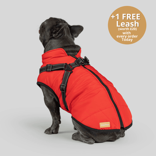 DoggyKings™ 3 in 1 Jacket